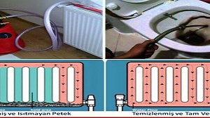 adana-petek-temizligi-300x168